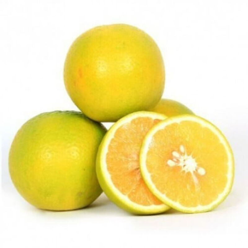 Fresh Orange (Mousami) 1kg